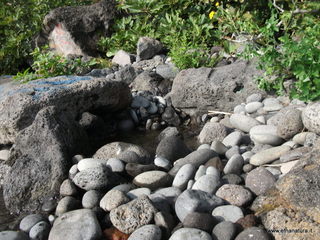 uccio-13-11-2012 09-22-18